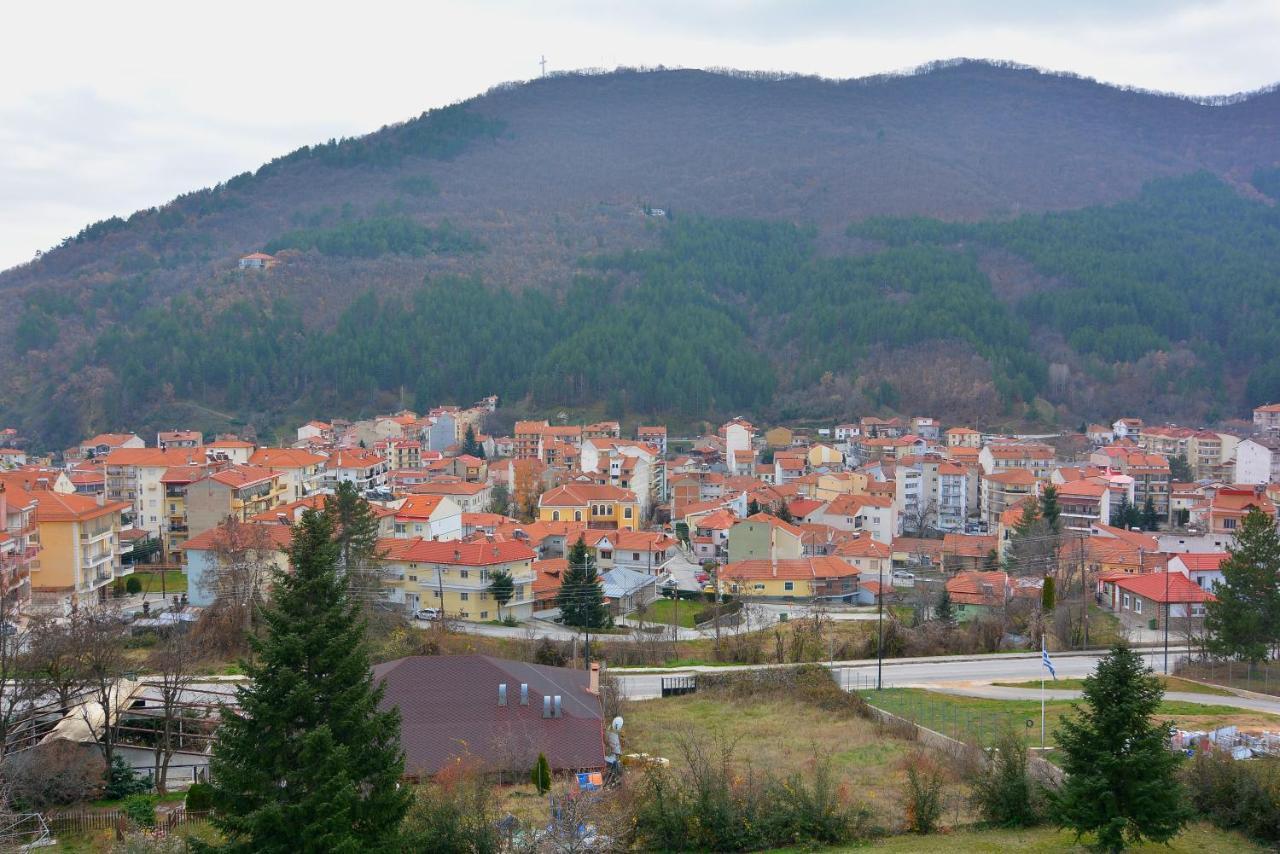 King Alexander Otel Florina Dış mekan fotoğraf